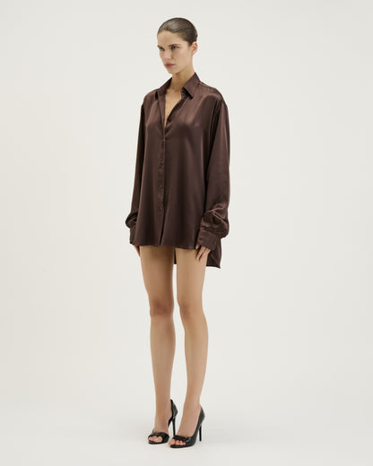 Silk Shirt Dress / Brown